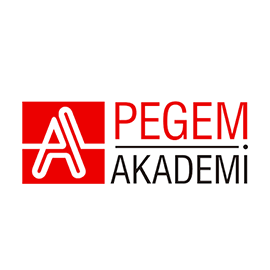 Pegem Akademi